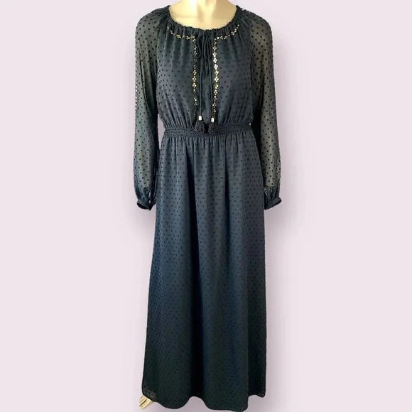 Altuzarra Long Sleeve Sheered Chiffon Maxi Dress Bohemian Sequins Size 8 Black - Picture 1 of 16
